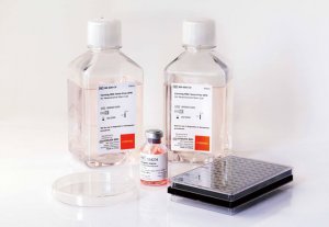 Corning? MSC Xeno-Free SFM 間充質干細胞無血清培養(yǎng)基